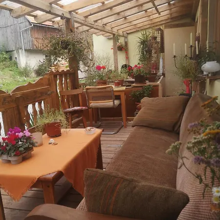 Art & Sun Apartment Kocevje