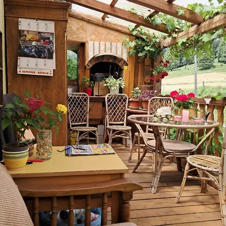 Apartament Art & Sun Kocevje