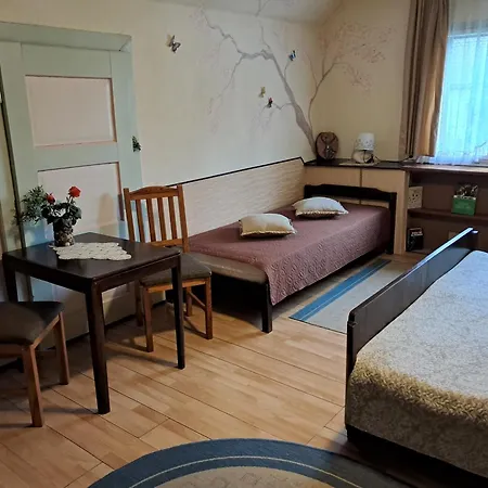 Art & Sun كوشيفج